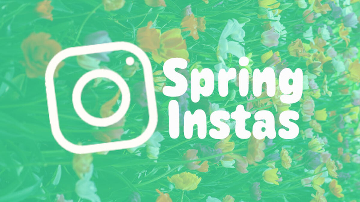 Spring Instas image number null